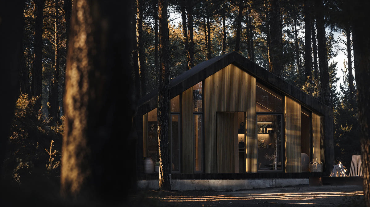 Visualisation of Zenith among the trees
